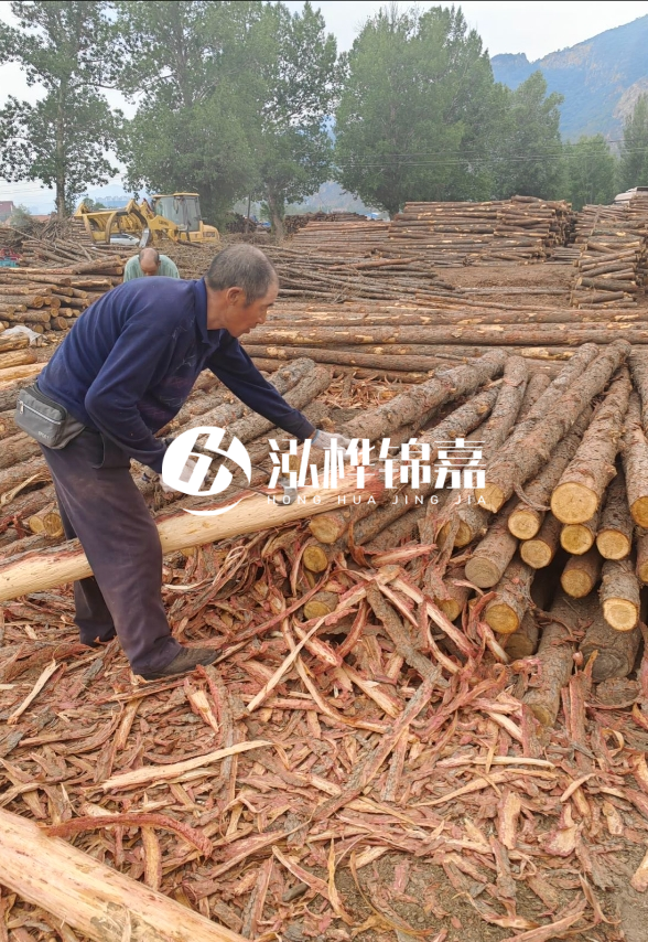東營河道清淤專業(yè)施工隊-不同型號挖機清淤能力對比？