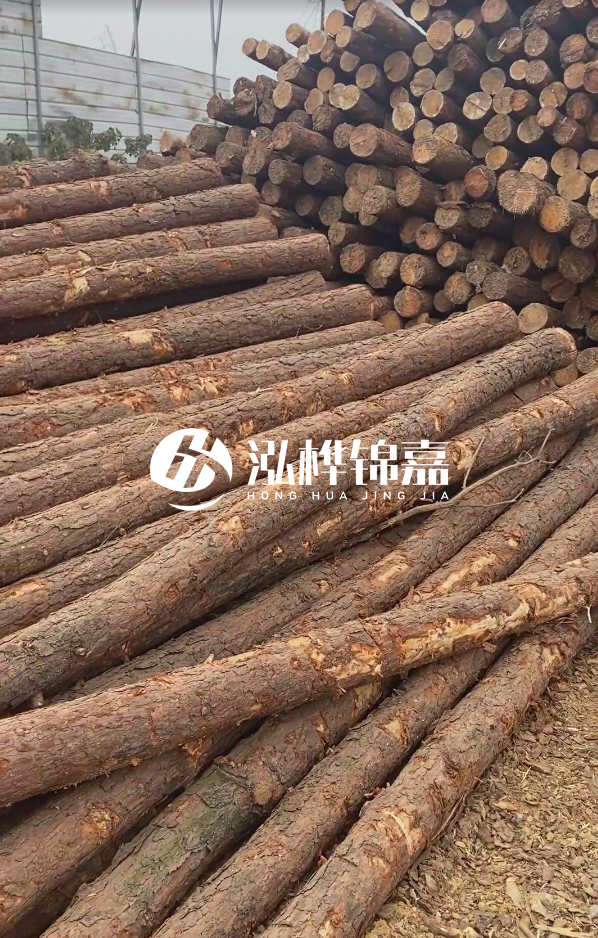 山西河道木樁護(hù)岸價(jià)格多少錢一米-每米河道打樁要花多少錢？