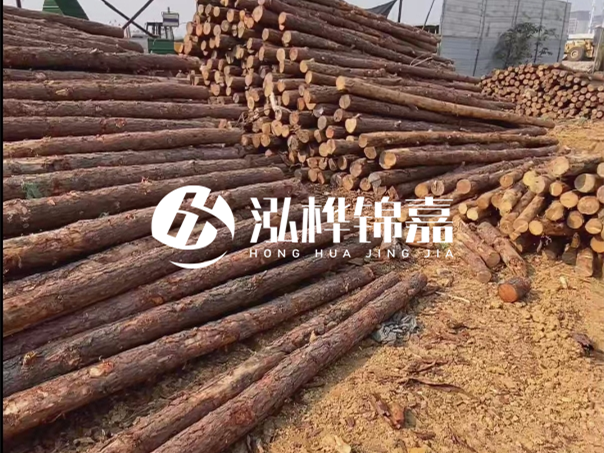 河道木樁施工遇到淤泥怎么辦？打多深才能防沖刷？
