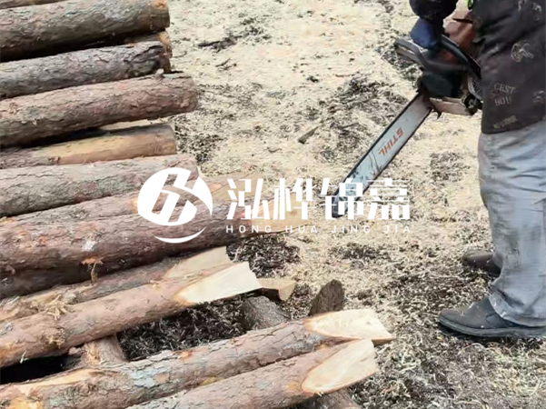 杉木樁批發(fā)廠家哪家好？產(chǎn)地直供渠道推薦！